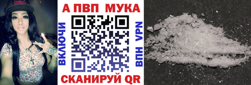 Альфа ПВП СК КРИС  Коряжма 