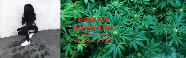 PSILOCYBIN Осташков