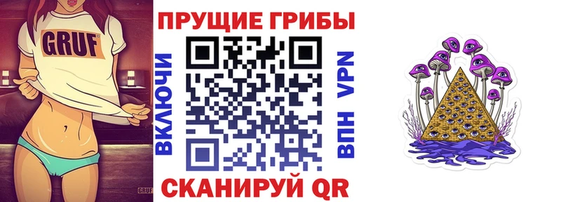 Псилоцибиновые грибы ЛСД  omg зеркало  Коряжма 