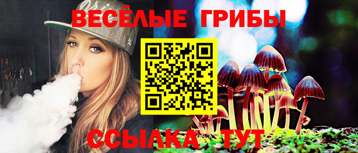 Псилоцибиновые грибы MAGIC MUSHROOMS  Вход с VPN  Псилоцибиновые грибы мухоморы  продажа наркотиков  Коряжма 